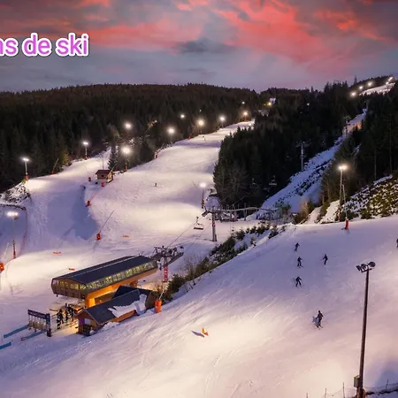 Entre Et Vignes - Classe 3 Etoiles * インガースハイム