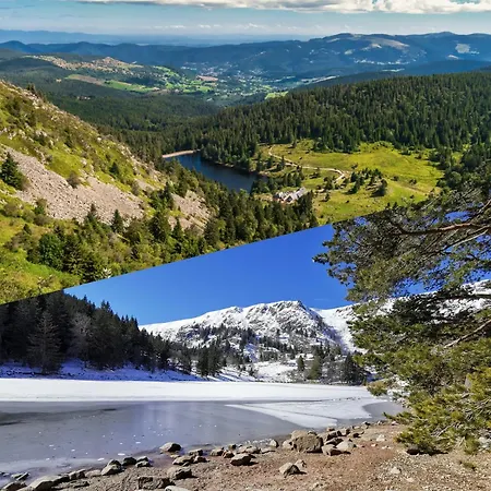 Entre Et Vignes - Classe 3 Etoiles * インガースハイム