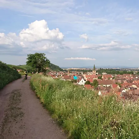 Entre Et Vignes - Classe 3 Etoiles アパート *