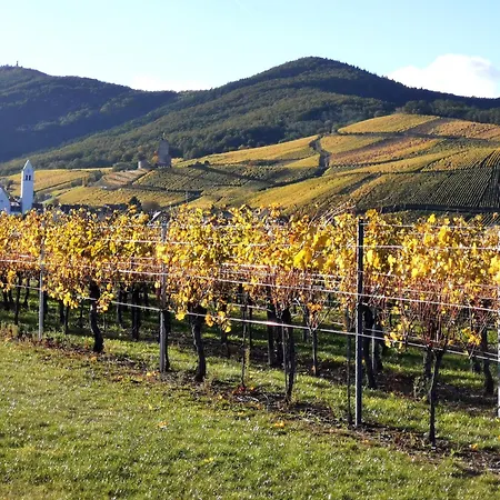 Entre Et Vignes - Classe 3 Etoiles アパート *